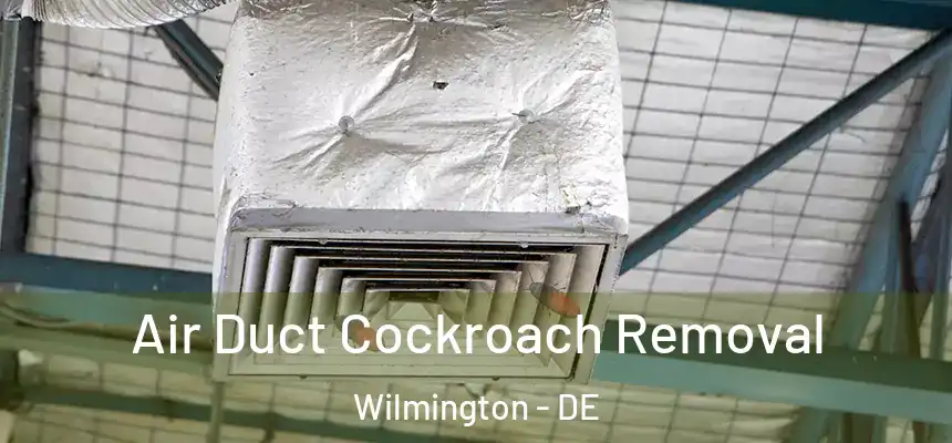 Air Duct Cockroach Removal Wilmington - DE