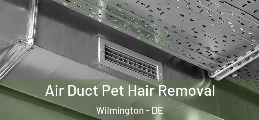Air Duct Pet Hair Removal Wilmington - DE