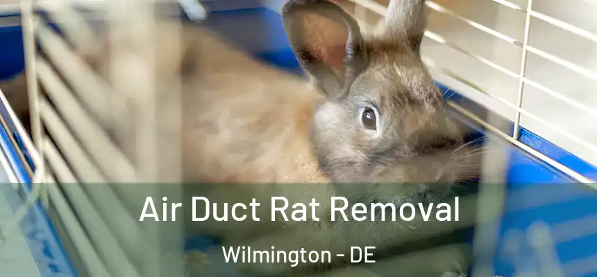  Air Duct Rat Removal Wilmington - DE