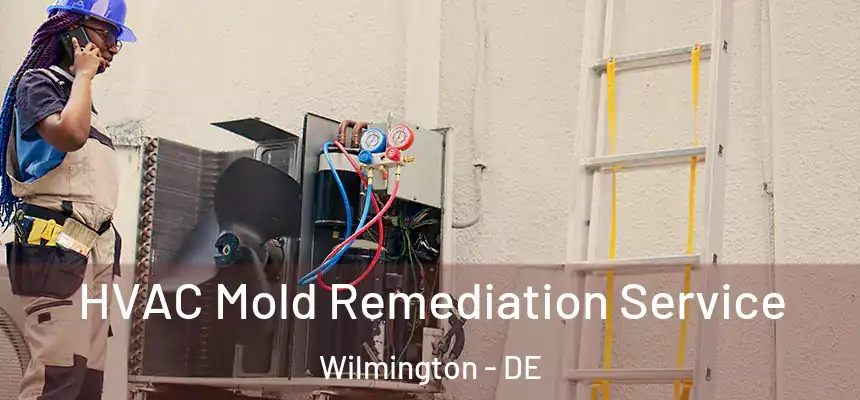 HVAC Mold Remediation Service Wilmington - DE
