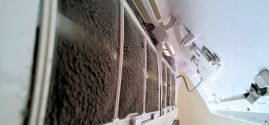 Preventive Air Duct Bacteria Removal in Wilmington