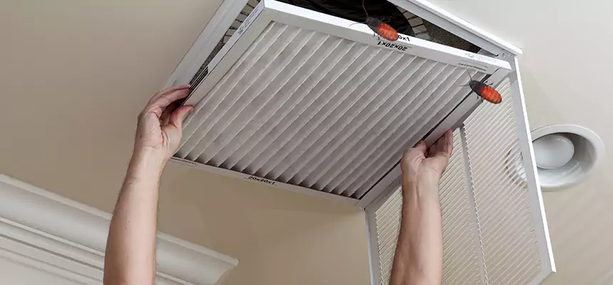 Preventive Cockroach-Proofing for Ducts in Wilmington