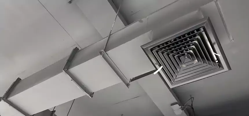 Our Rodent Droppings In Vents Services in Wilmington, DE