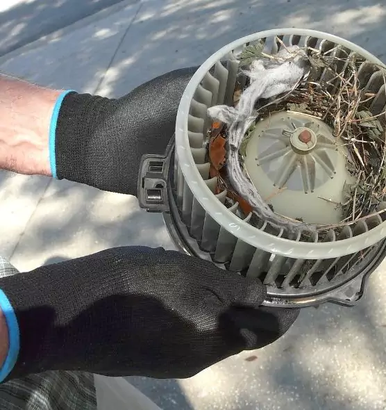 About Air Duct Rat Removal in Wilmington, DE