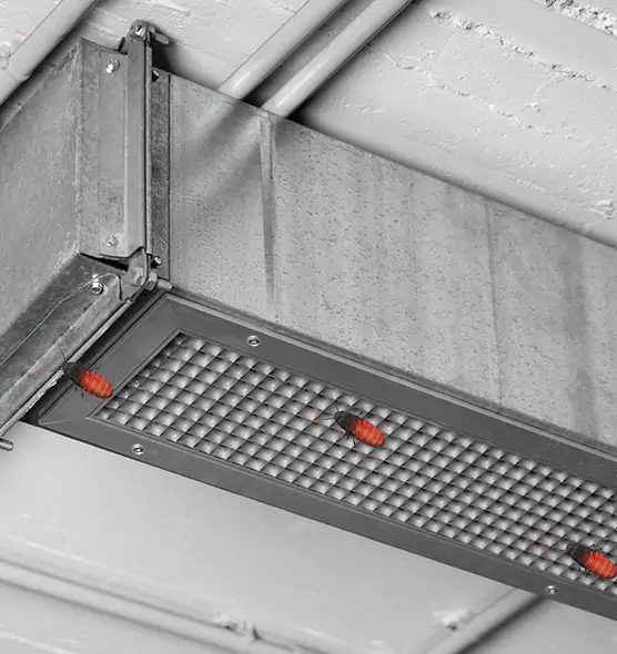 Affordable Insect Removal from Air Ducts in Wilmington, DE