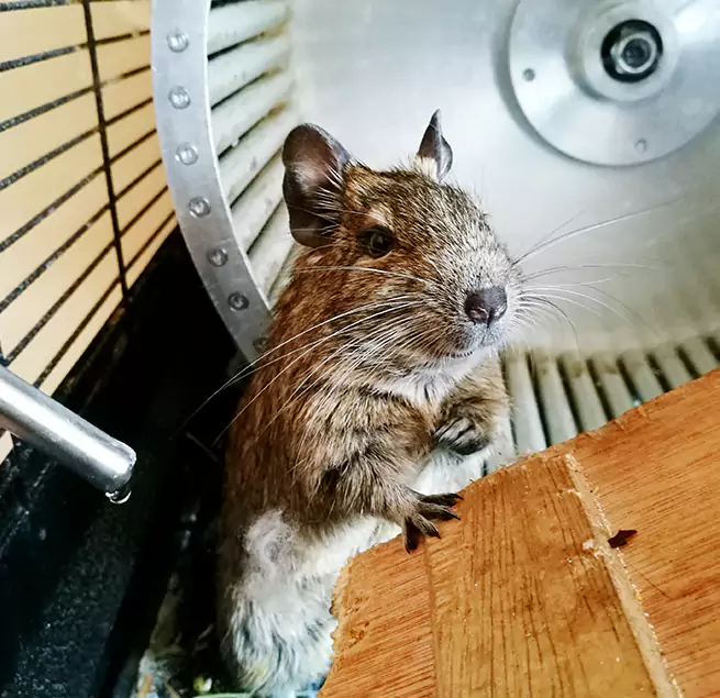 Why Homeowners & Businesses Trust Us Wilmington, DE