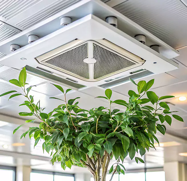 Why Homeowners & Businesses Trust Us in Wilmington, DE?